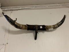 Klädhängare/buffelhorn